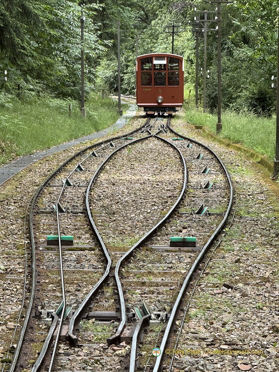 Heidelberg IMG 1417 (250 visits) Heidelberg IMG 1417