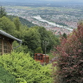 Heidelberg IMG 1421 (274 visits) Heidelberg IMG 1421