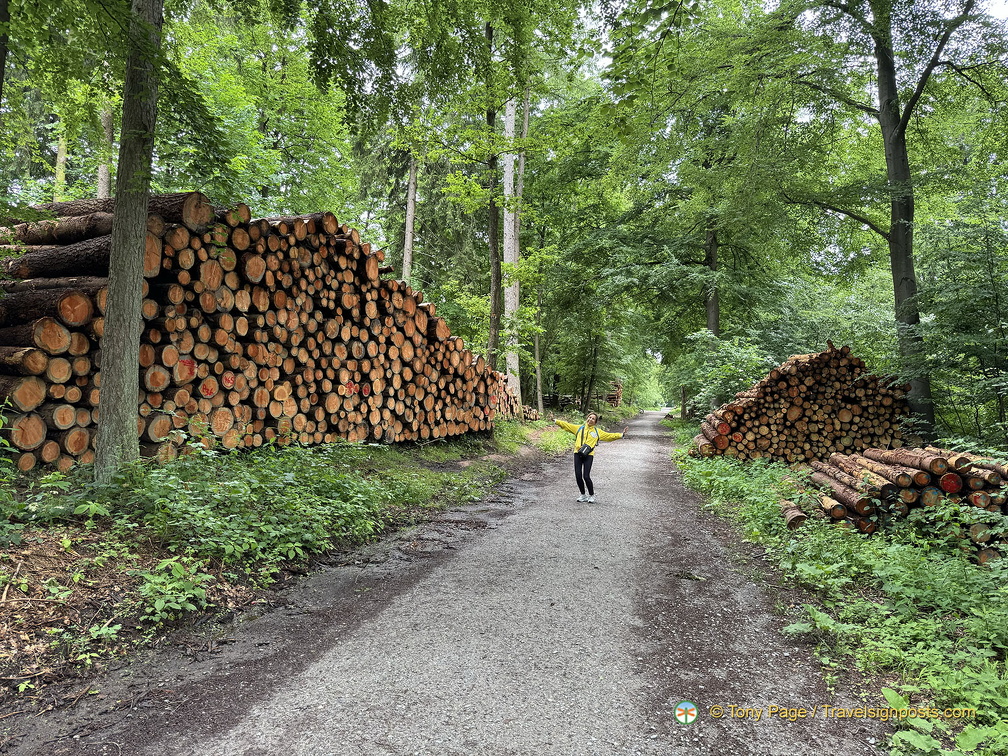 Heidelberg IMG 1431 (288 visits) Heidelberg IMG 1431