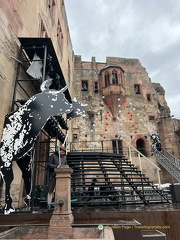 Heidelberg IMG 7325