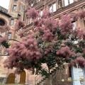 Heidelberg IMG 7328