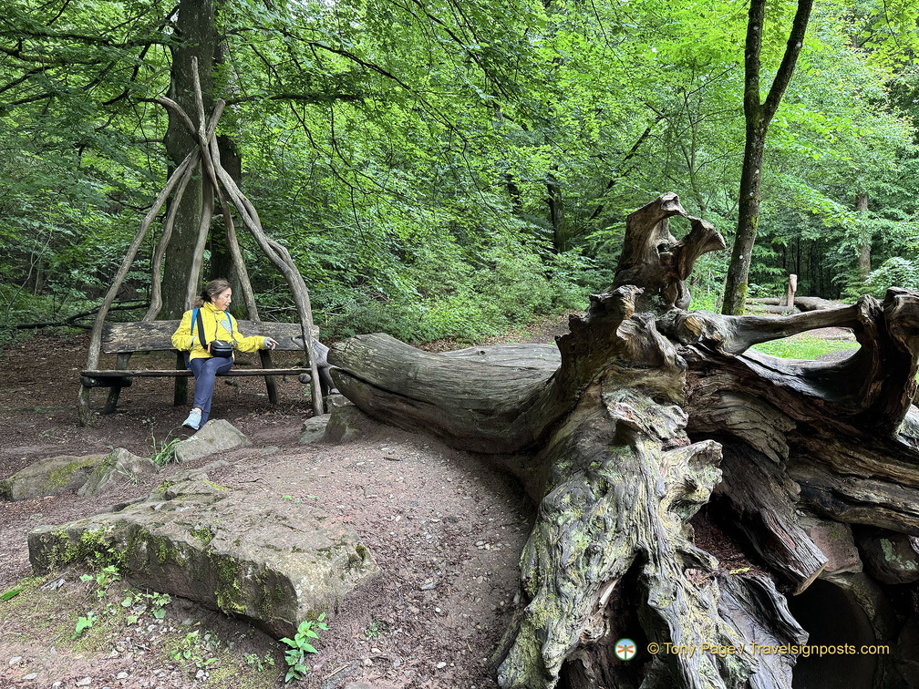 Heidelberg IMG 1429 (294 visits) Heidelberg IMG 1429