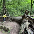 Heidelberg IMG 1429 (298 visits) Heidelberg IMG 1429