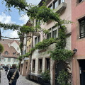 Freiburg IMG 1540