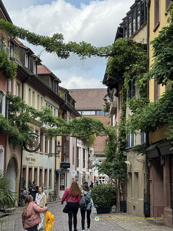 Freiburg IMG 1542