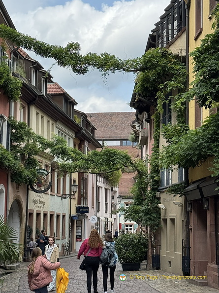 Freiburg IMG 1542