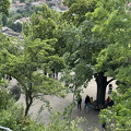 Freiburg IMG 1554 (240 visites) Freiburg IMG 1554