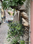 Freiburg IMG 7519