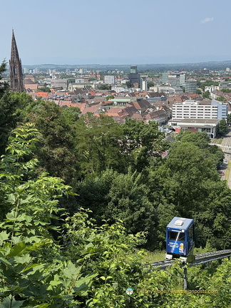 Freiburg IMG 1578