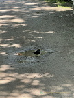 Freiburg IMG 1597