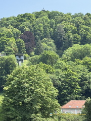 Freiburg IMG 1610