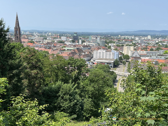 Freiburg IMG 7540