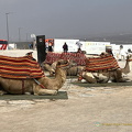 Agadir IMG 1718 wm