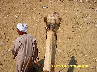 
[The Giza Plateau - The Great Pyramids - Egypt]