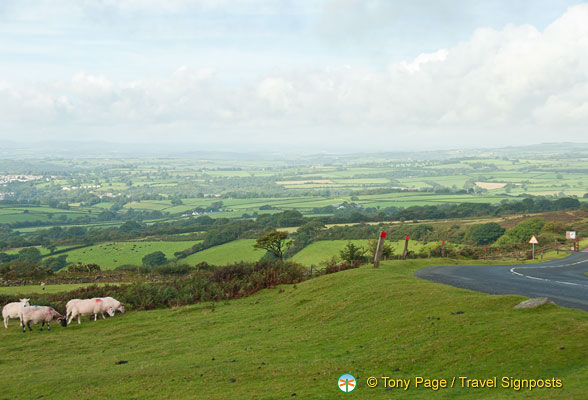 Dartmoor-National-Park_AJP0064.jpg