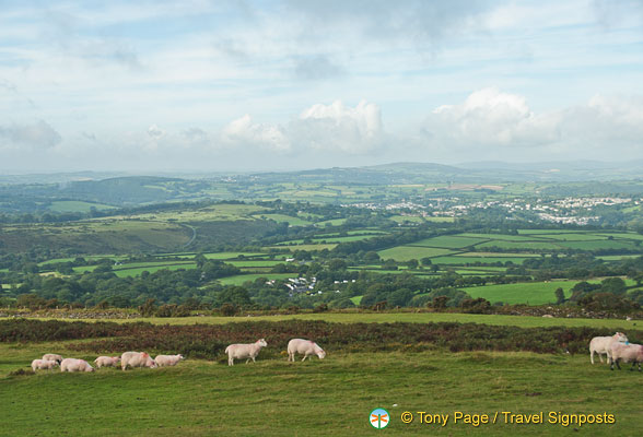 Dartmoor-National-Park_AJP0065.jpg