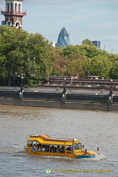London-Duck_AJP_2658.jpg