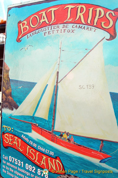 St-Ives-Boat-trips_DSC_2348.jpg