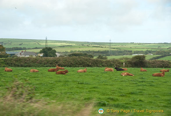 Cornwall-countryside_AJP_0089.jpg