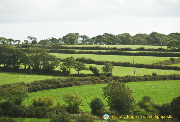 Cornwall-countryside_AJP_0191.jpg