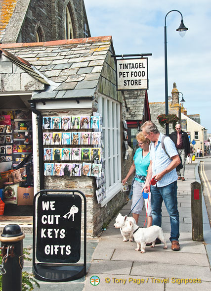 Tintagel Pet Food Store
