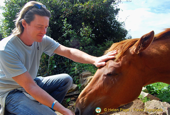 The Horse Whisperer