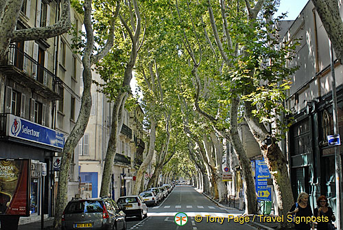 France_Avignon_0048.jpg