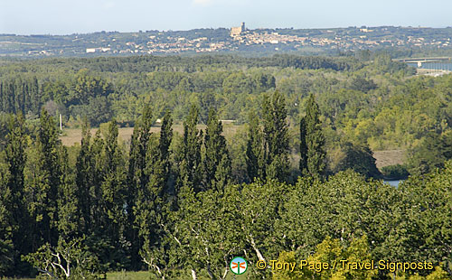 France_Avignon_0065.jpg