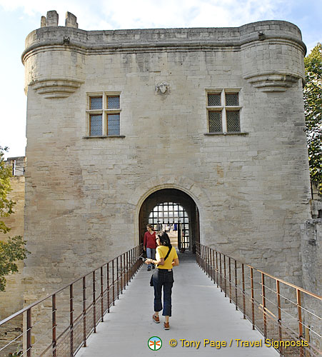 Pont-Avignon_France_Avignon_0018.jpg