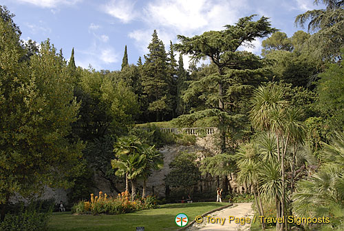 France Nimes0025 (874 visits) France Nimes0025