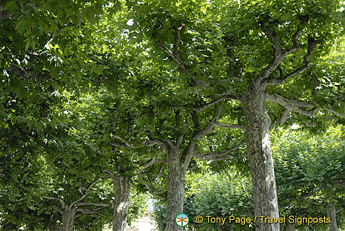 Sarlat-la-Caneda (1155 visits) Sarlat-la-Caneda