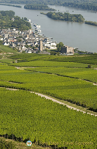 [Rudesheim - Rhine River Cruise - Germany]