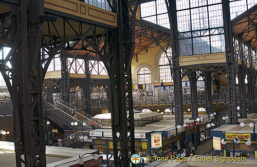 Steel columns that support the structure