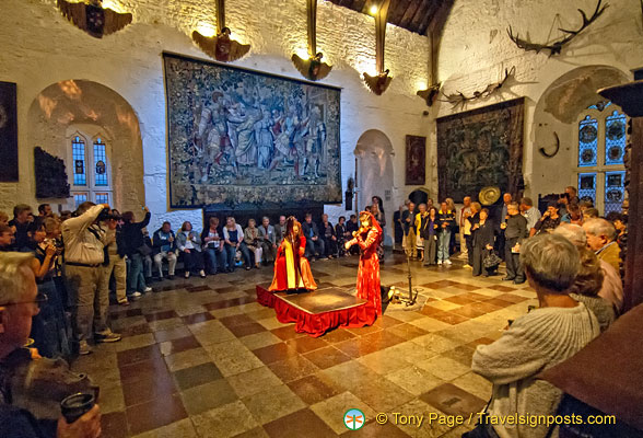 Medieval-Banquet-Music_AJP8333.jpg