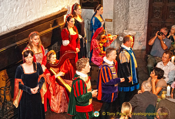 Medieval-Banquet-Music_AJP8366.jpg