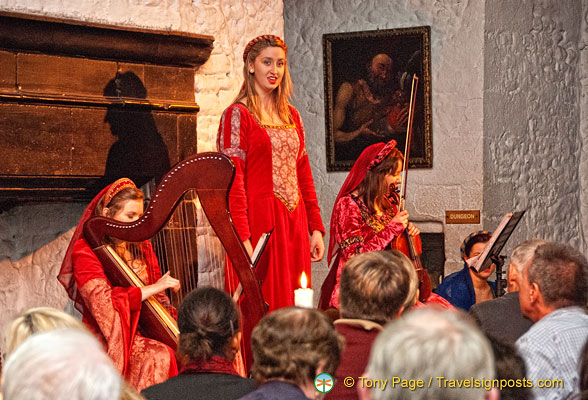 Medieval-Banquet-Music_AJP8372.jpg