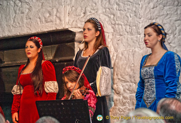 Medieval-Banquet-Music_AJP8380.jpg
