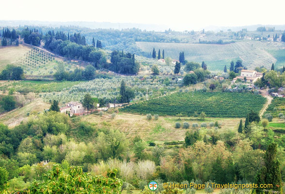 san-gimignano-vineyards_HLP_DSC1860.jpg