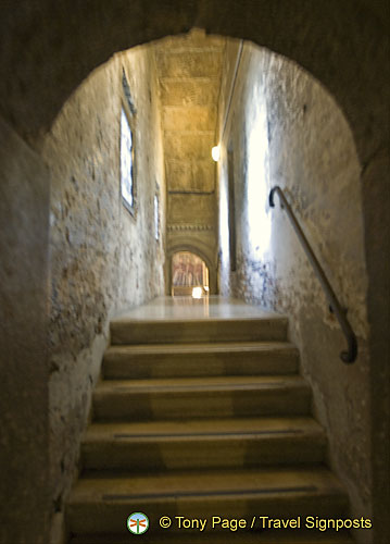 DSC0887 (630 bisita) DSC0887