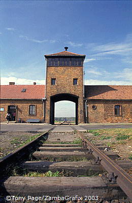 Auschwitz-Birkenau-Concentration-Camps_1_071_poland.jpg
