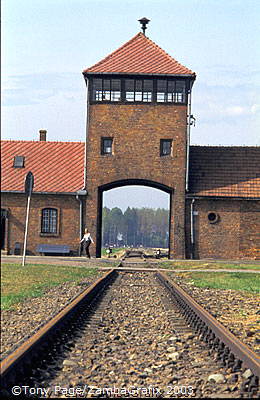 Auschwitz-Birkenau-Concentration-Camps_1_081_poland.jpg