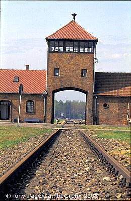 Auschwitz-Birkenau-Concentration-Camps_1_082_poland.jpg