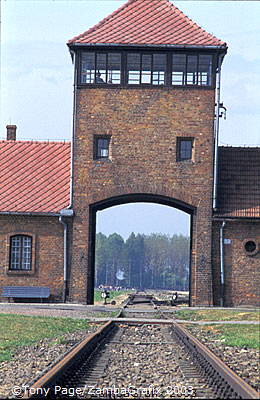 Auschwitz-Birkenau-Concentration-Camps_1_084_poland.jpg