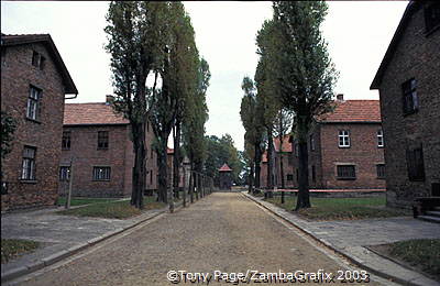 Auschwitz-Concentration-Camps_1_055_poland.jpg