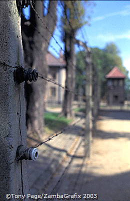 Auschwitz-Concentration-Camps_1_059_poland.jpg