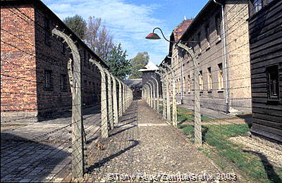 Auschwitz-Concentration-Camps_1_060_poland.jpg