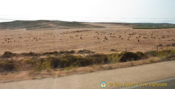 Sagres Penisula (1015 visits) Sagres Penisula