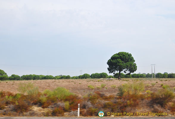 Algarve (1059 visits) Algarve