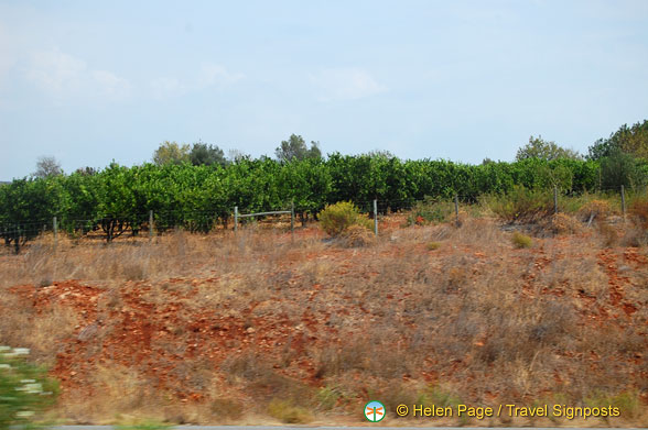 Algarve (1009 visits) Algarve