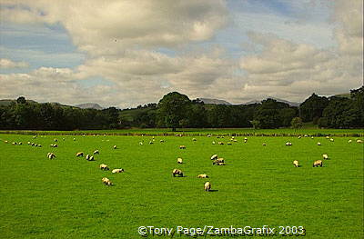 The Lake District